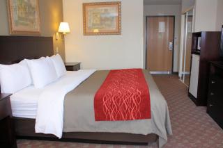 Quality Inn Defiance - 5
