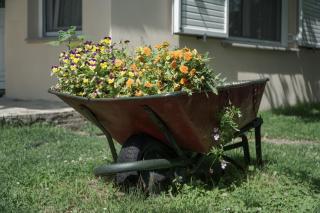 Meteora's sunset - 2