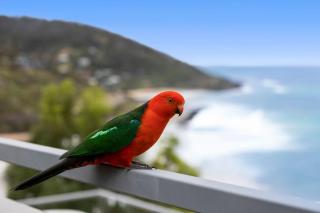 Viewmore - Wye River - 5