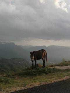 Meteora's sunset - Kalabaka - 4