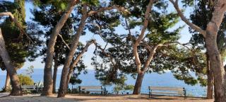 Apartman Lulu - Split - 3
