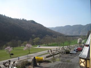 Hotel Moselterrasse - Ediger-Eller - 5