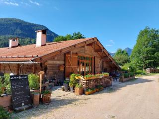 Nickis Bergcamp - Schneizlreuth - 1
