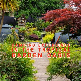Tropical Garden Oasis Rooms - Birmingham - 4