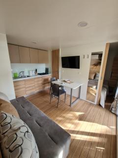 Mobile home Dream , Camp Porton Biondi- Rovinj - Rovinj - 8