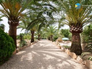 Finca Timanfaya - Llucmajor - 5