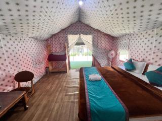 North Deodar Camps - 9