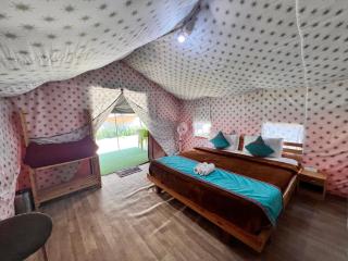 North Deodar Camps - 4