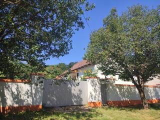 Balkan Retreat - Bešenovo - 8