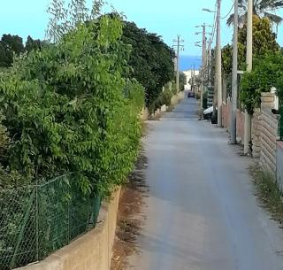 Hibiscus House - Noto Marina - 8