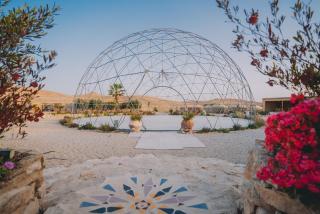 Alpaca Farm - חוות האלפקות - Mitzpe Ramon - 7