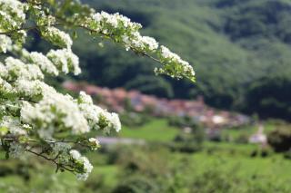 Naquela Castroviejo - 1