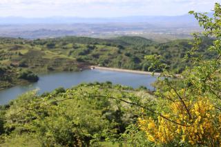 Naquela Castroviejo - 1