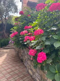 The Time -Home & Hotel- - Santa Margherita Ligure - 6