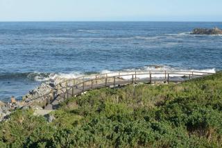 The Whale and Waddler - Unit with a view - Kleinmond - 6