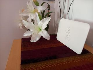 Feher Barany Apartment - 9