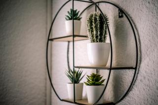 Pieds dans l'eau - Lac Léman - 2 min Evian - Spacieux - 2