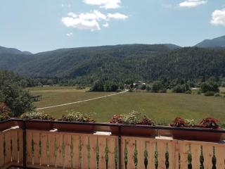 APARTMENT WITH A VIEW - Bohinjska Bistrica - 7