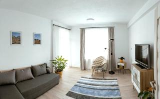 Solomon Apartments ap 2 - Sângeorgiu de Mureş - 0