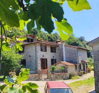 Cara House Tuscany - Zona Lucca - Chiatri - 0