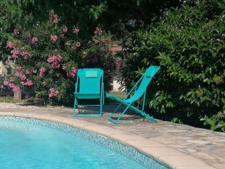 Villa Madison (ideal 2 families) - Solliès-Pont - 2