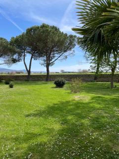 La selva - Arezzo - 4