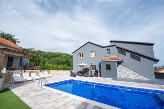 Villa with a heated private pool, parking, BBQ - Petričevići - 2