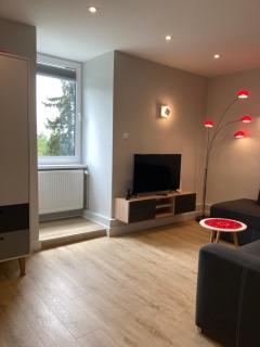 Apartament BB z widokiem na Krynicę - Krynica Zdrój - 7