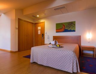 LAM Hotel Estarreja - Estarreja - 7
