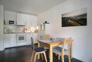 Hörnleberg - Stubenhof, Black Forest - 9