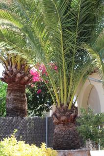 Casa Caliente - Cala Santanyi - 2