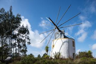 Delightful forest windmill, 10 min away from the beach - Nazaré - 3