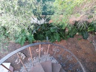Jungle Room - Terra Mala - 1