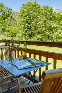 Chalet aux 3 biches - Mieussy - 6