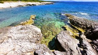 Apartment Agava Istria - family vacation rental with free parking, garden, WiFi - 6