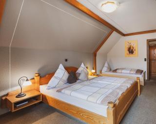 Fremden- und Monteurzimmer "Zum Ochsen" - Flieden - 1