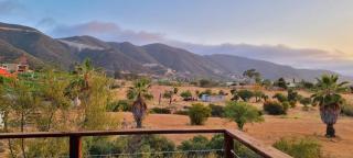Viña Calabria - Valle de Guadalupe - 2