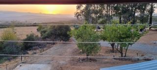 Viña Calabria - Valle de Guadalupe - 1