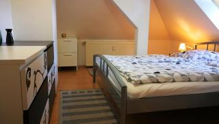 Attic Oelsnitz am Hegebach mit Netflix und Parkplatz Self Check-in - Oelsnitz - 5
