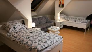 Attic Oelsnitz am Hegebach mit Netflix und Parkplatz Self Check-in - Oelsnitz - 9
