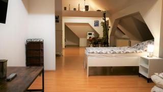 Attic Oelsnitz am Hegebach mit Netflix und Parkplatz Self Check-in - Oelsnitz - 8