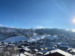 Chalet de luxe avec SPA, sauna, parking, WiFi et animaux admis - FR-1-598-41 - 4