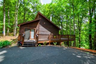 Little Cub Cottage - Mtn Views & Community Pools - 4