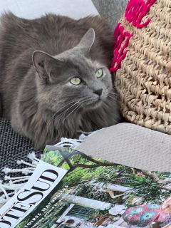 La Chambre Cézanne - 8