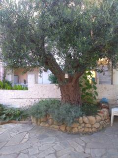 Filomeni Studios - 4