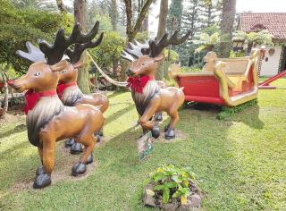 Pousada Natal Encantado - Gramado - 7