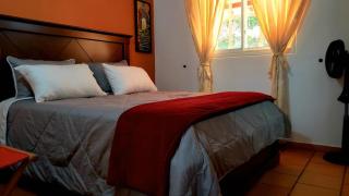 GREEN HOUSE CASA O APARTAMENTO CAMPESTRE - 9