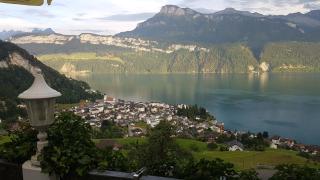 Gasthaus Platten - Gersau - 5