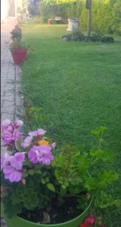 Amour Aquitaine - Cambes - 8