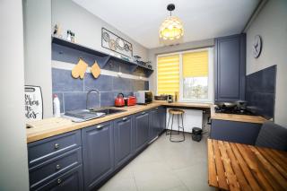 Exquisite 3 room apartment in the heart of thetown - Câmpulung Moldovenesc - 6